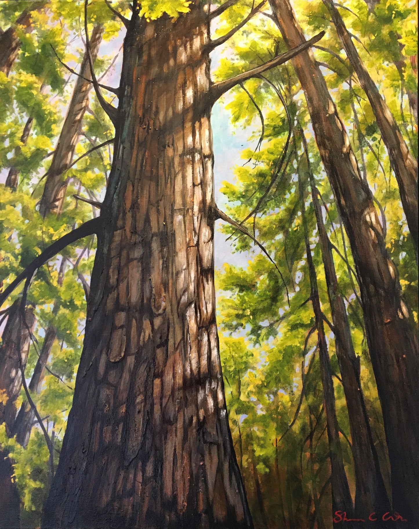 Only the Shadow Knows