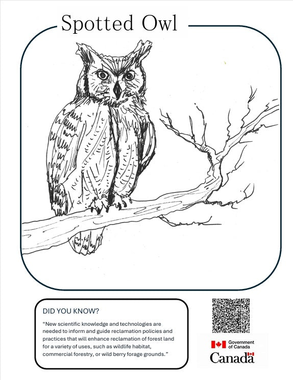 SAMPLE Corporate Colouring Pages