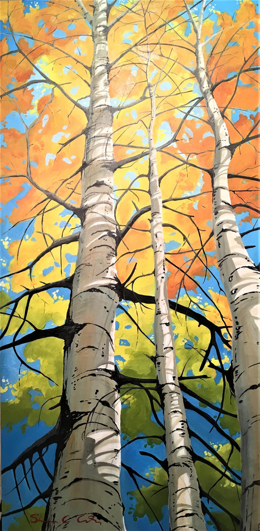 Aspen Trees: Memory, Magic, and the Quiet Work of Reclamation