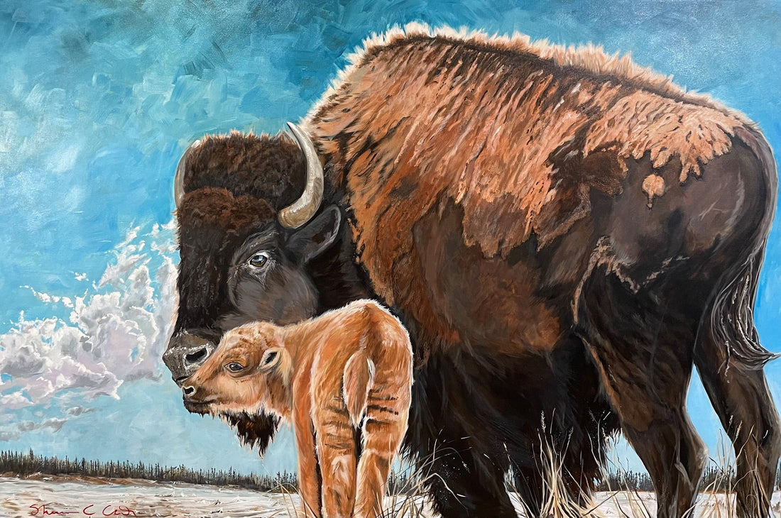 Red Dog of the North at the Edmonton Airport