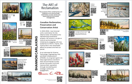 The ART of Reclamation Brochure