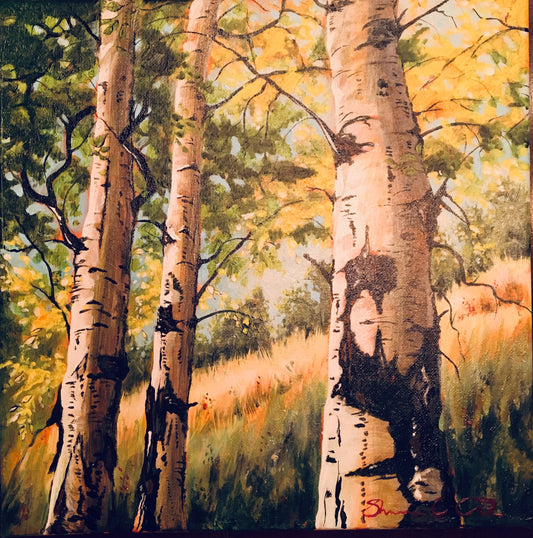 Shedding my Corporate Armour