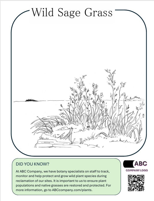 SAMPLE Corporate Colouring Pages