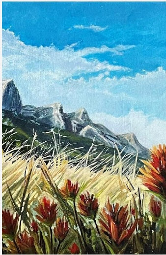 Custom Order Notebooks (Geologic)